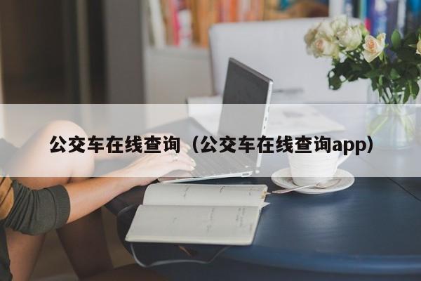 公交车在线查询（公交车在线查询app）