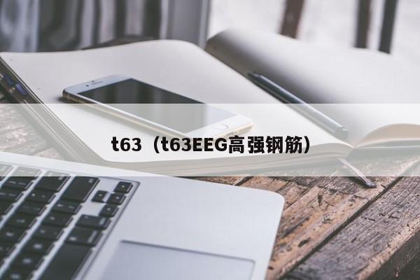 t63（t63EEG高强钢筋）