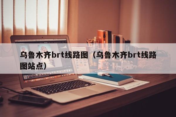 乌鲁木齐brt线路图（乌鲁木齐brt线路图站点）