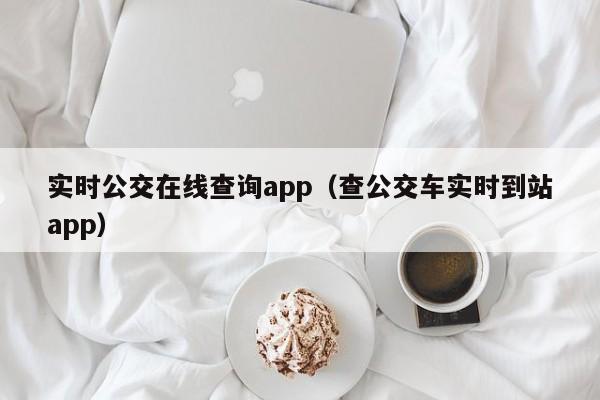 实时公交在线查询app（查公交车实时到站app）