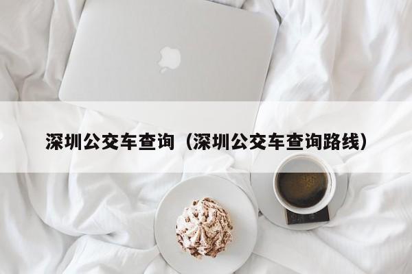 深圳公交车查询（深圳公交车查询路线）