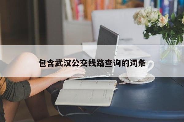 包含武汉公交线路查询的词条