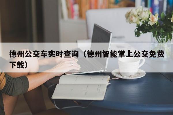 德州公交车实时查询（德州智能掌上公交免费下载）