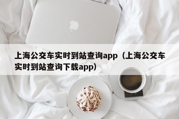 上海公交车实时到站查询app（上海公交车实时到站查询下载app）