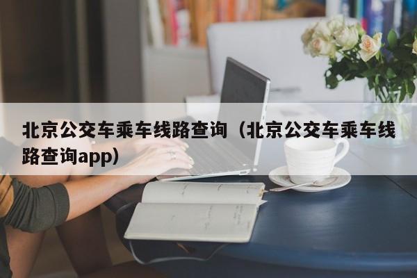 北京公交车乘车线路查询（北京公交车乘车线路查询app）