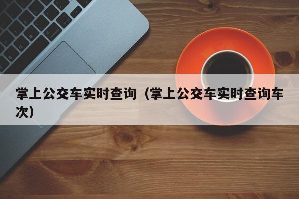 掌上公交车实时查询（掌上公交车实时查询车次）