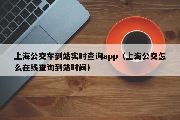 上海公交车到站实时查询app（上海公交怎么在线查询到站时间）