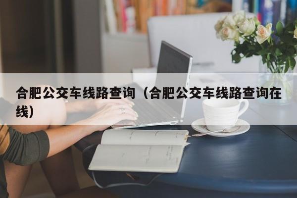 合肥公交车线路查询（合肥公交车线路查询在线）