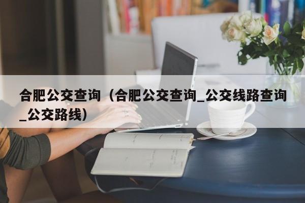 合肥公交查询（合肥公交查询_公交线路查询_公交路线）