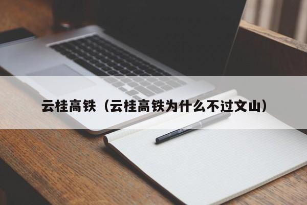 云桂高铁（云桂高铁为什么不过文山）