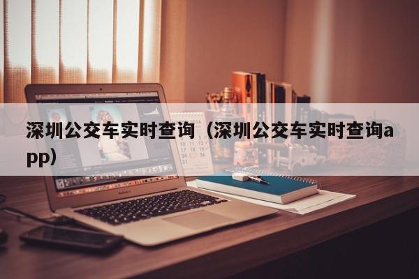 深圳公交车实时查询（深圳公交车实时查询app）