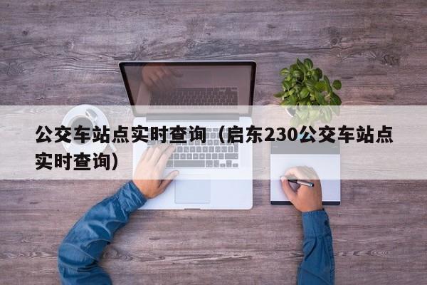 公交车站点实时查询（启东230公交车站点实时查询）